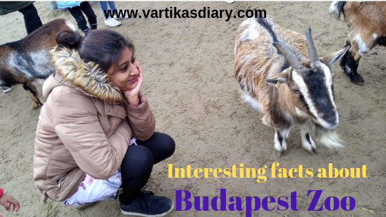 Interesting facts about the Budapest Zoo